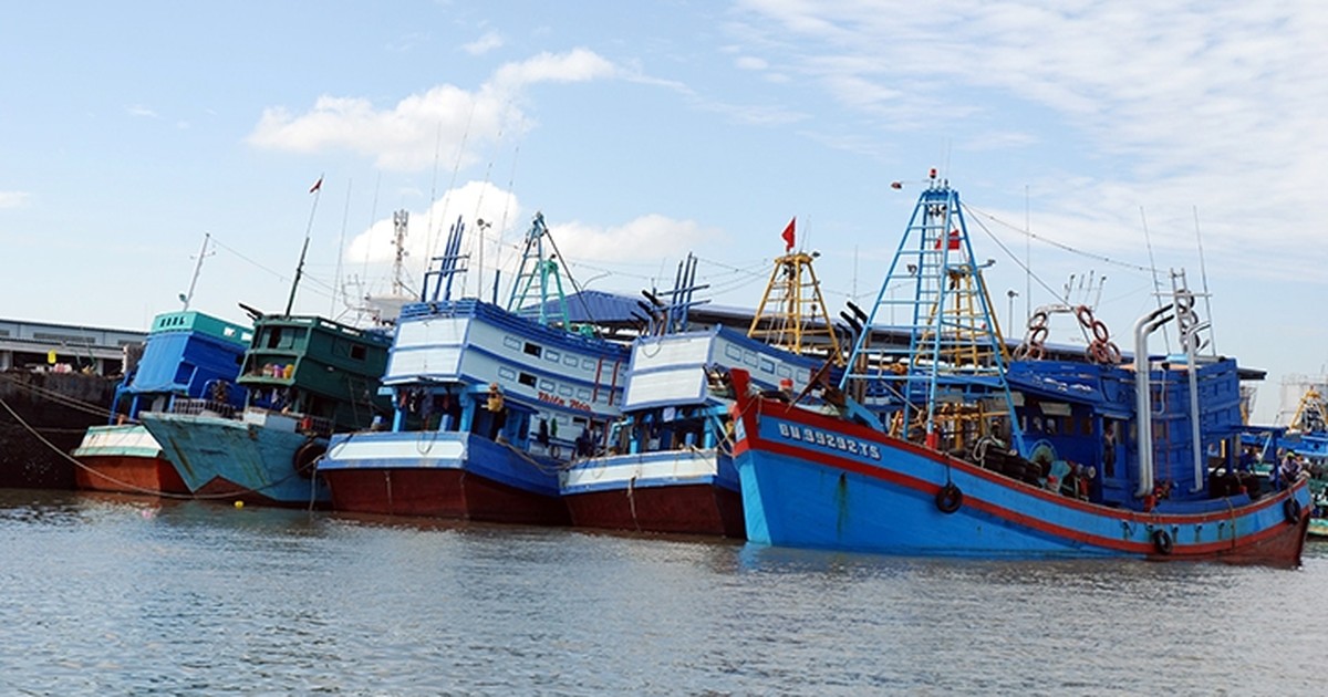 port terminal container maritime 
